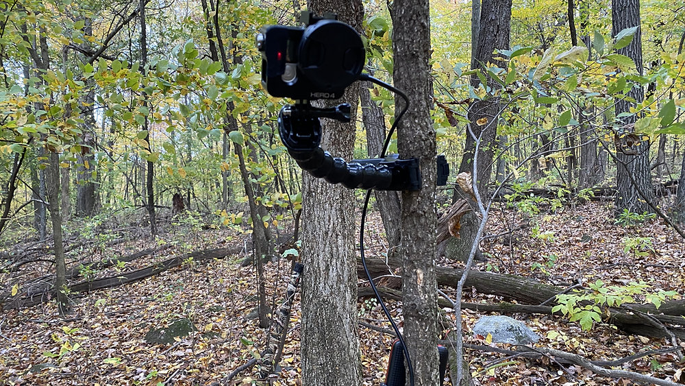 best camera for filming hunts
